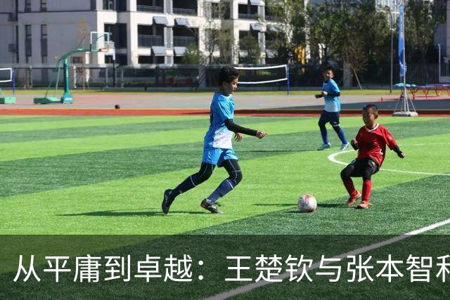 从平庸到卓越：王楚钦与张本智和的惊人对比